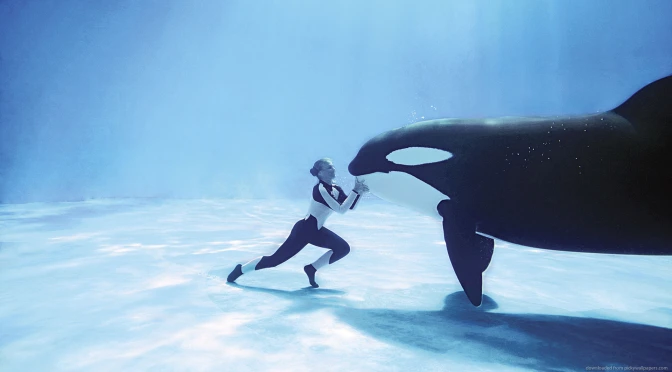 Will we See a World Without SeaWorld?